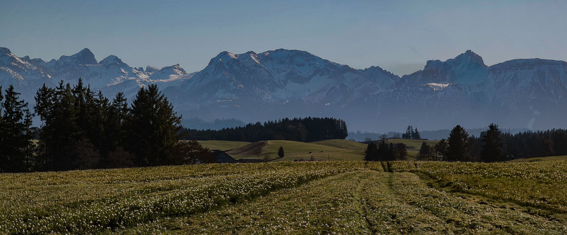Zimmerei Krum im Allgäu